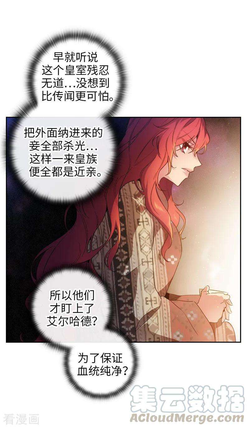 阿多尼斯185.纯净的血统