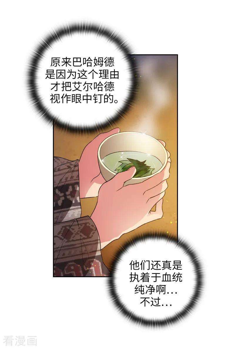 阿多尼斯185.纯净的血统