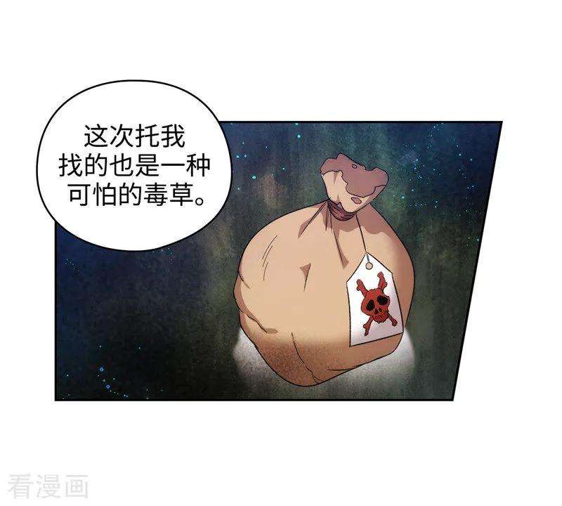 阿多尼斯192.互相协助
