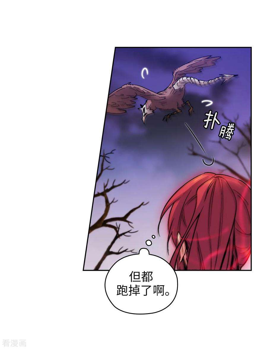 阿多尼斯197.他对异种族很了解
