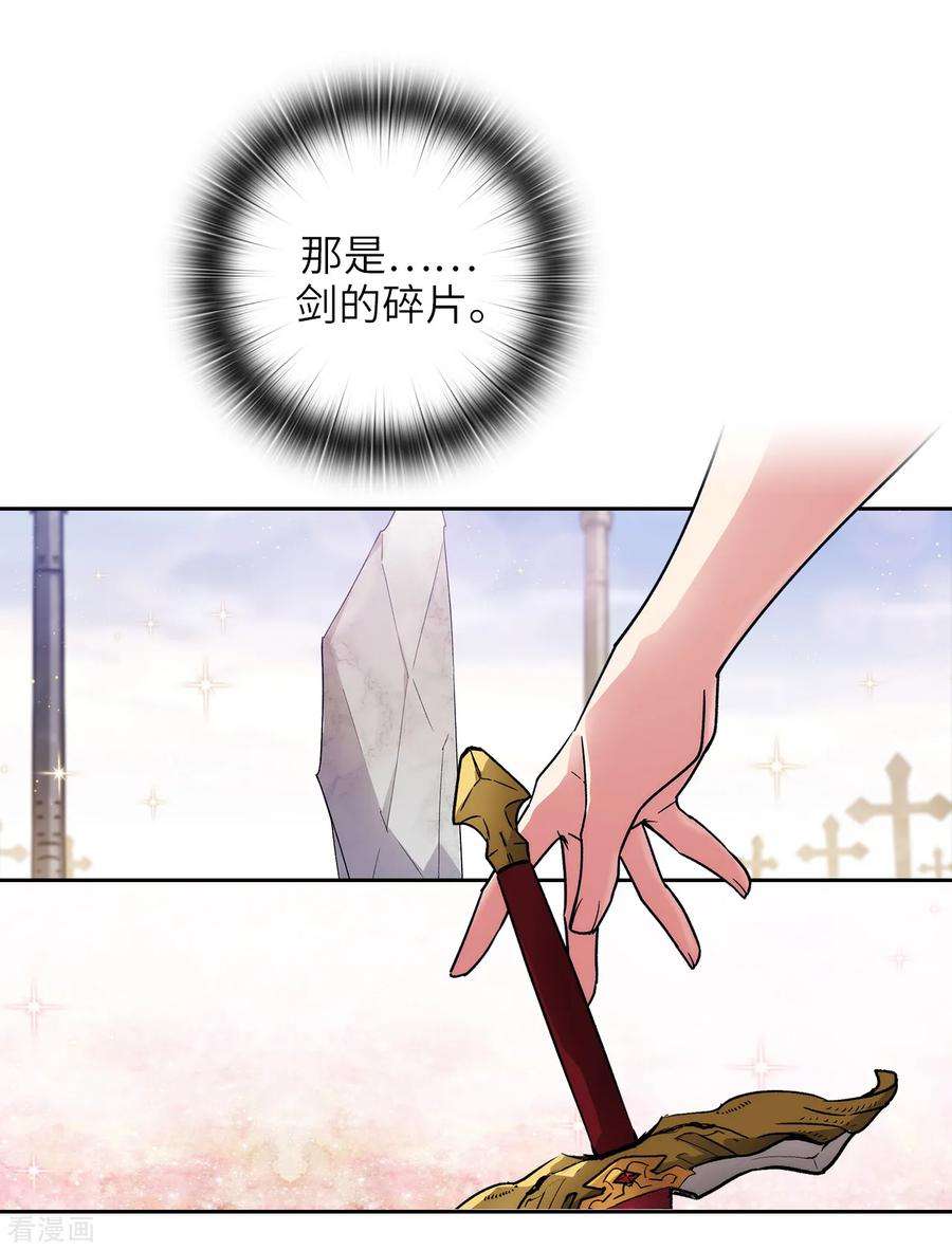 阿多尼斯212.那是剑的碎片？！
