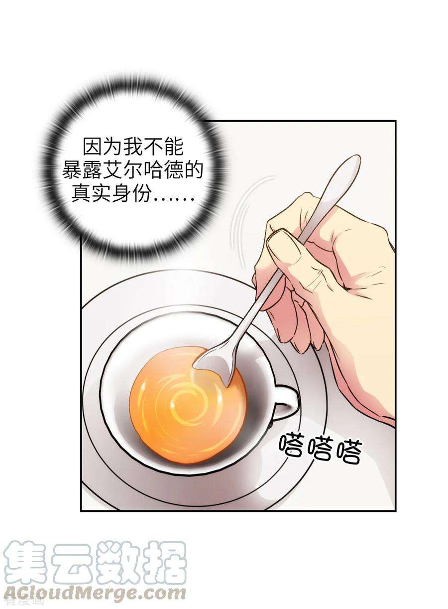 阿多尼斯245.海尔伊思的病