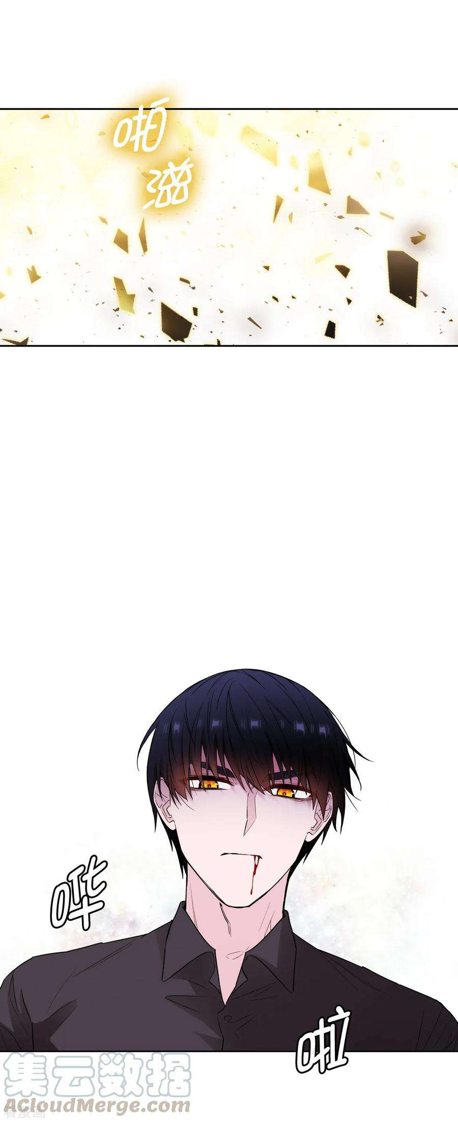 阿多尼斯256.使用权能的代价