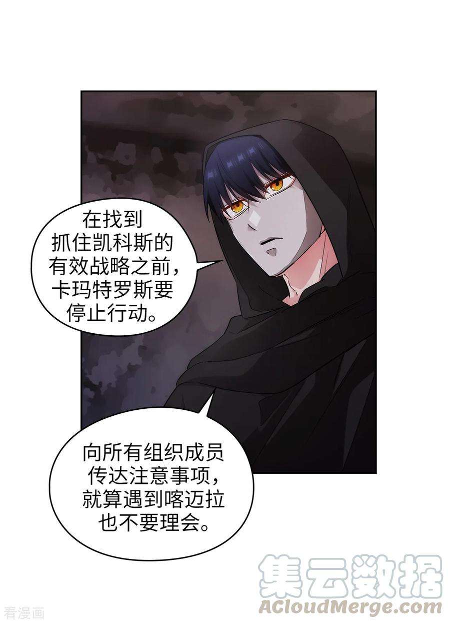 阿多尼斯267.停止行动