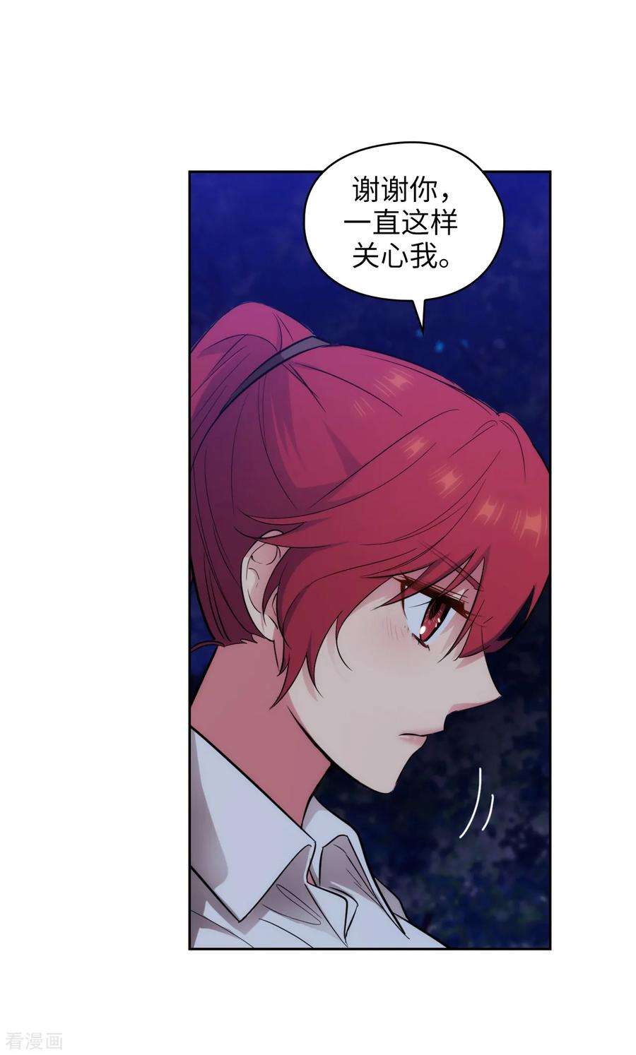 阿多尼斯267.停止行动