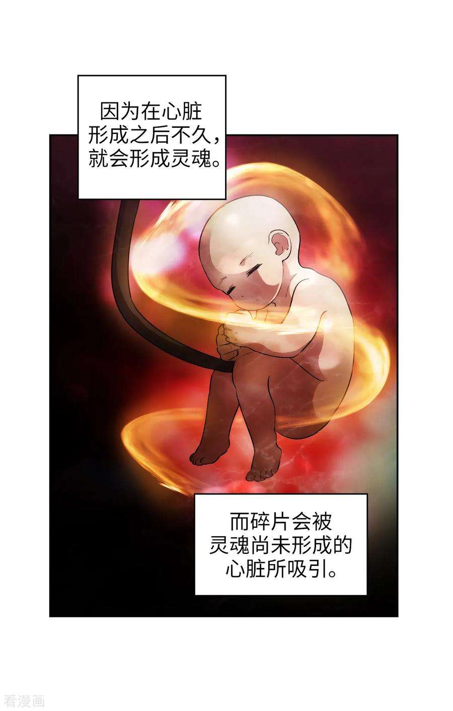 阿多尼斯278.我被追杀的原因