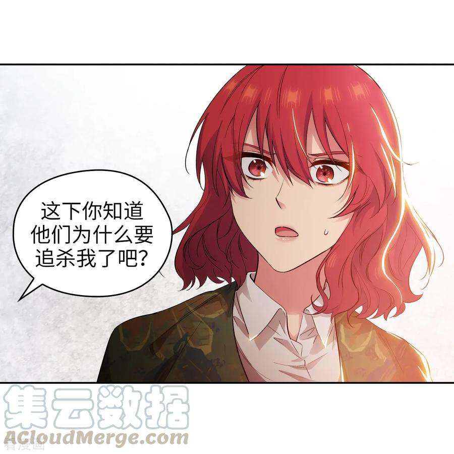 阿多尼斯278.我被追杀的原因