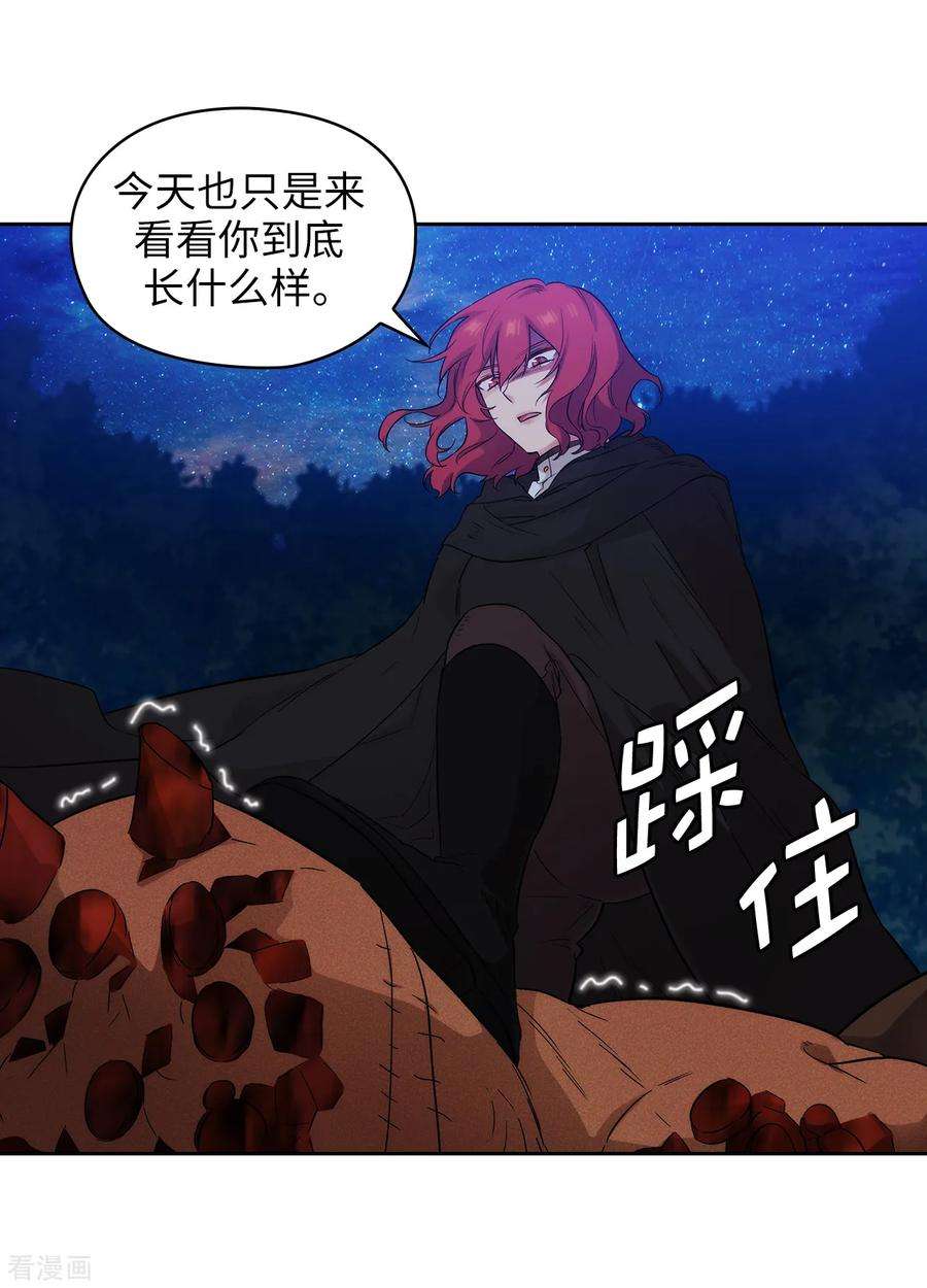 阿多尼斯283.我要亲手解决你