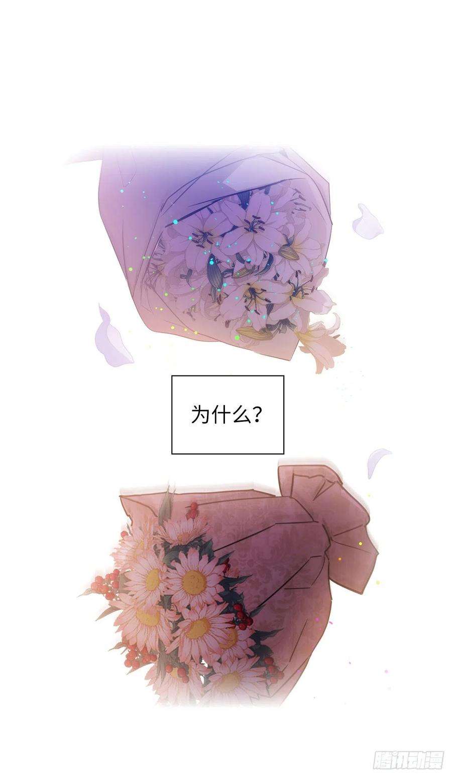 阿多尼斯312.为什么给现在的我鲜花