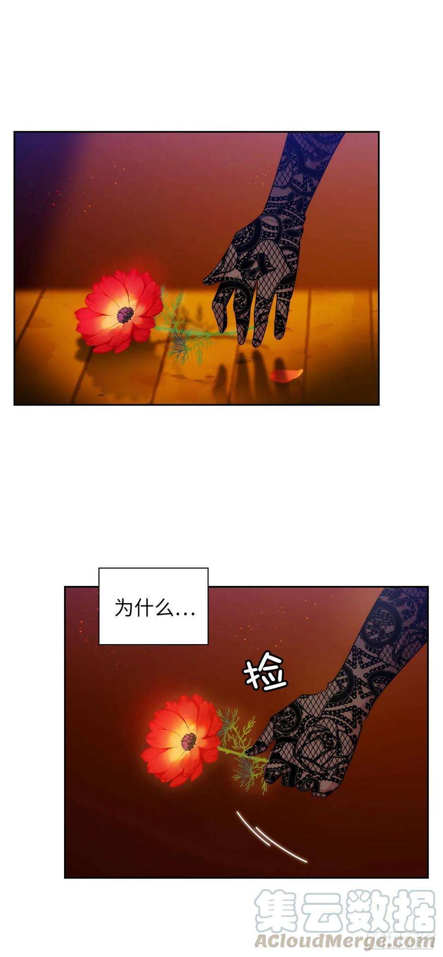 阿多尼斯312.为什么给现在的我鲜花