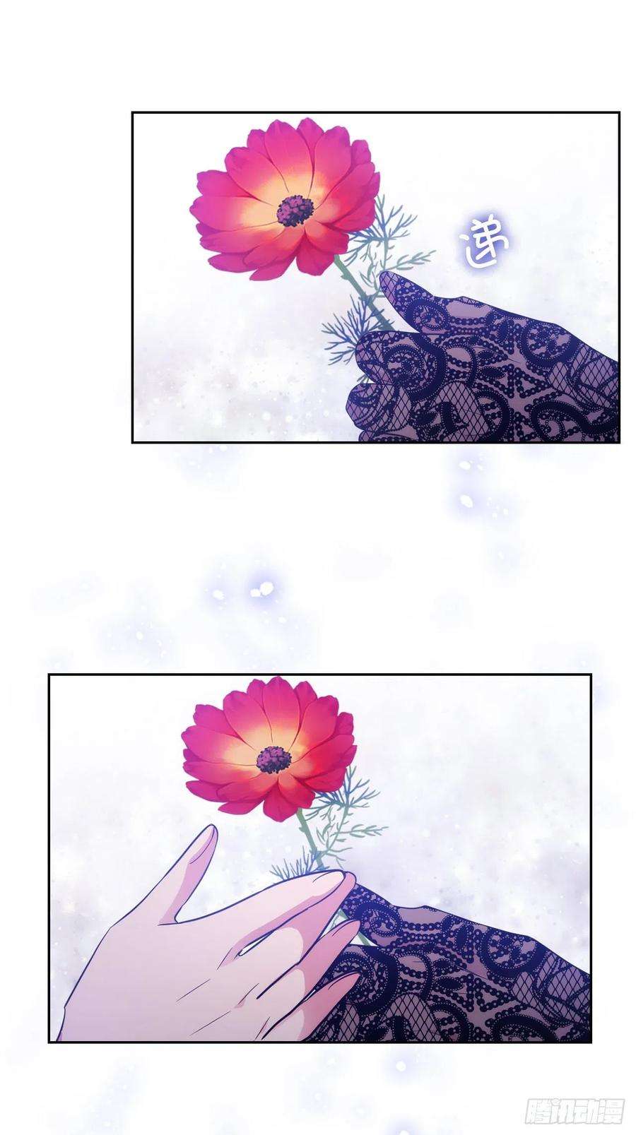 阿多尼斯312.为什么给现在的我鲜花