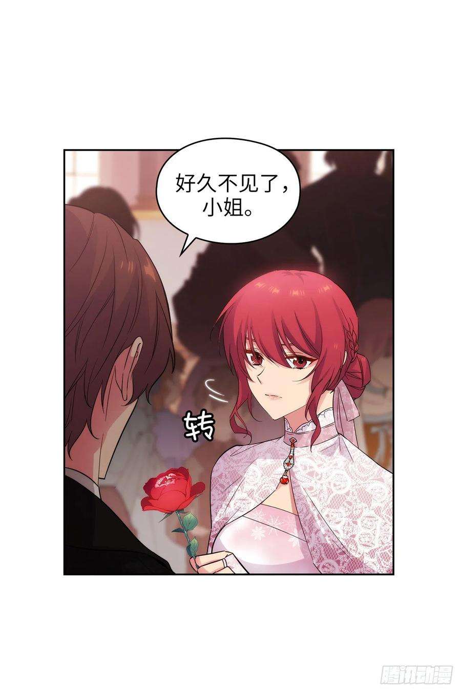 阿多尼斯337.浪漫中年人的礼物