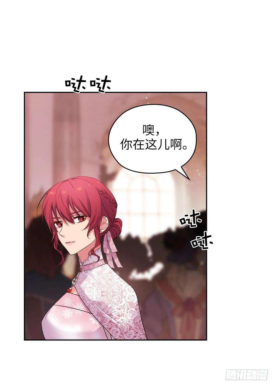 阿多尼斯337.浪漫中年人的礼物