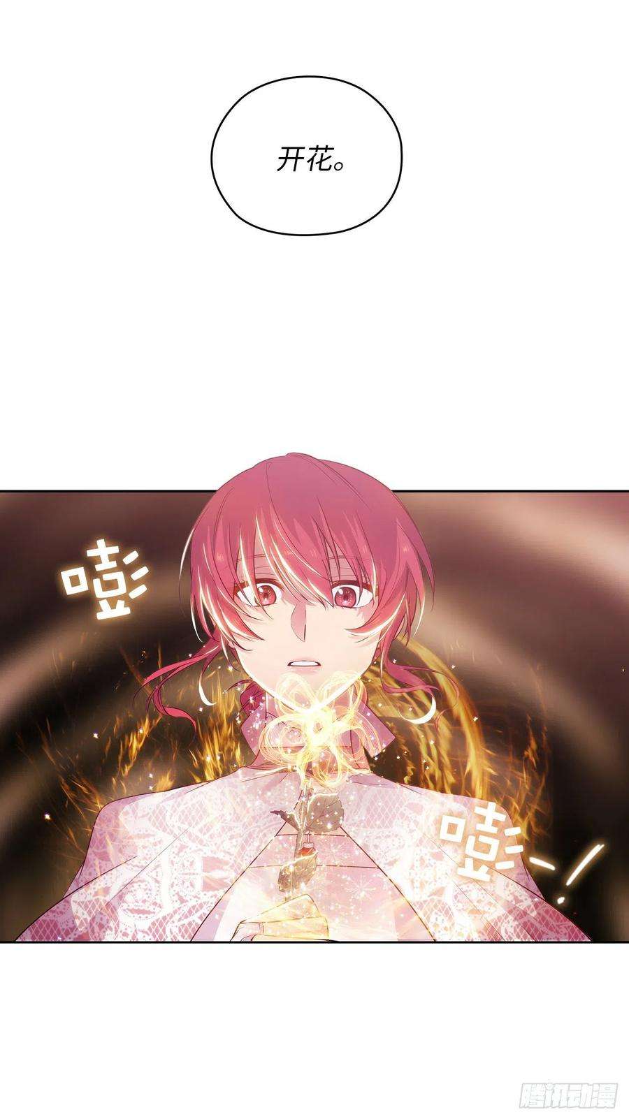 阿多尼斯337.浪漫中年人的礼物