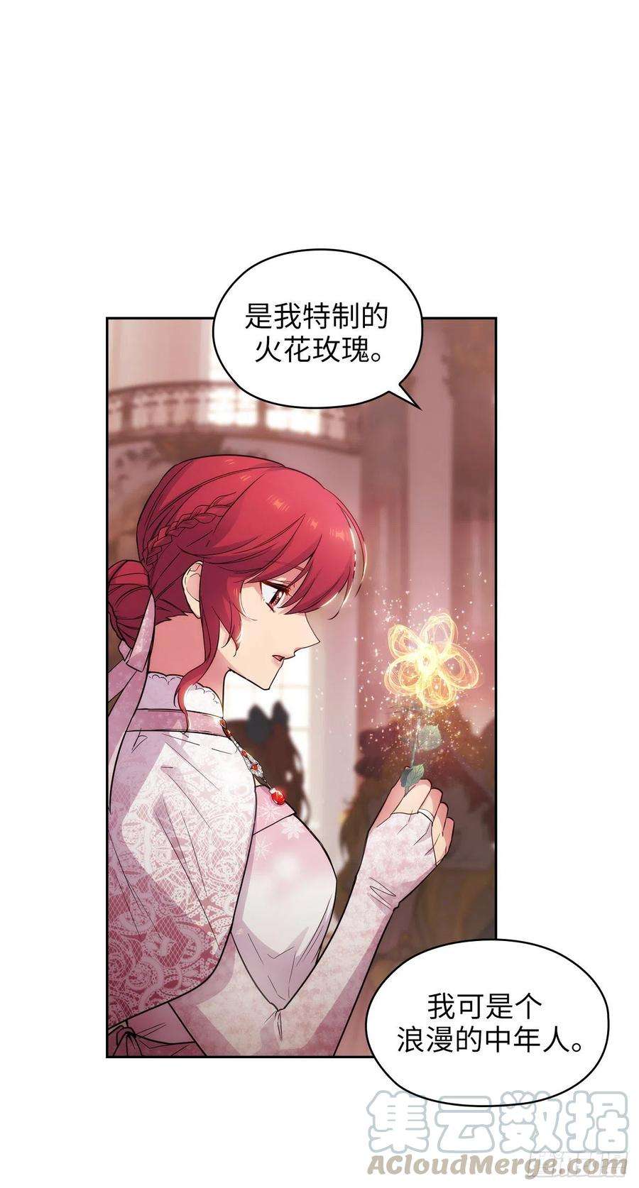 阿多尼斯337.浪漫中年人的礼物