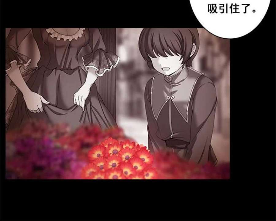 阿多尼斯1.重来一次