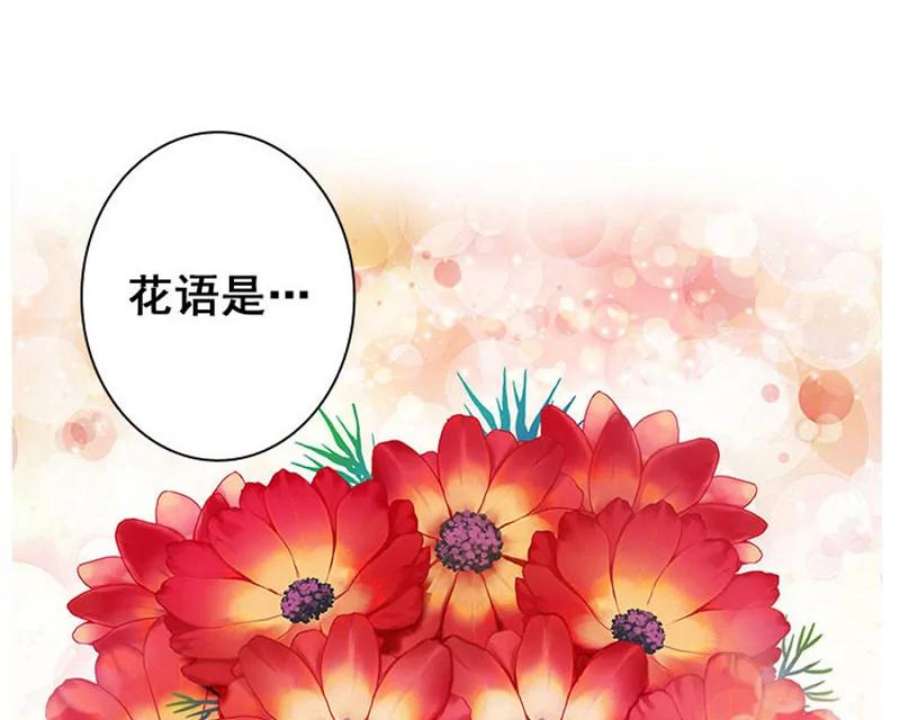 阿多尼斯1.重来一次