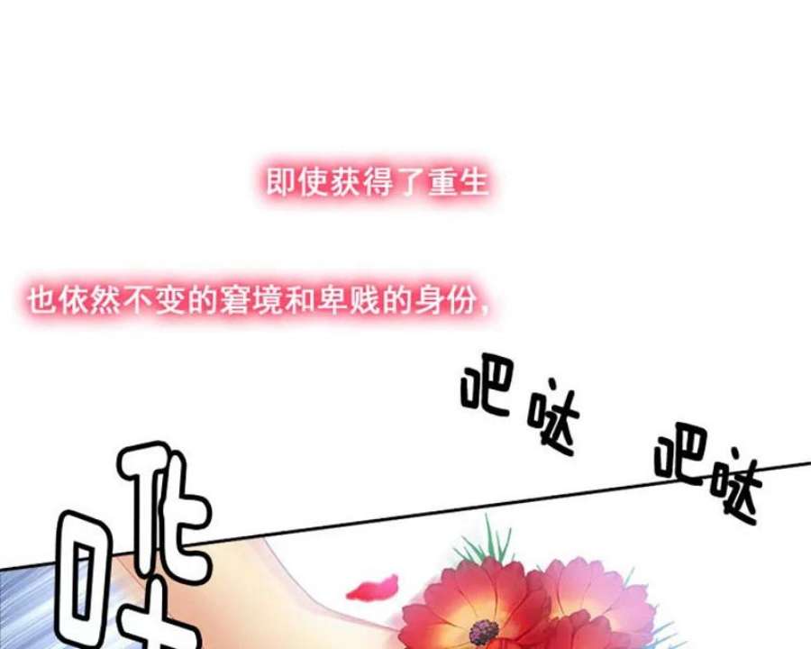 阿多尼斯1.重来一次