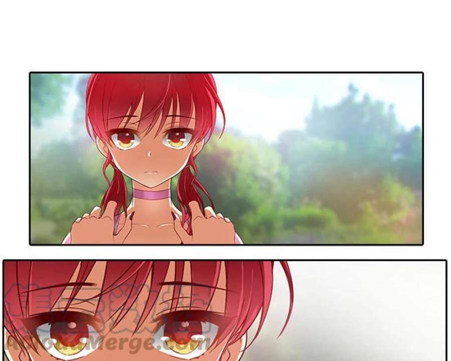 阿多尼斯1.重来一次