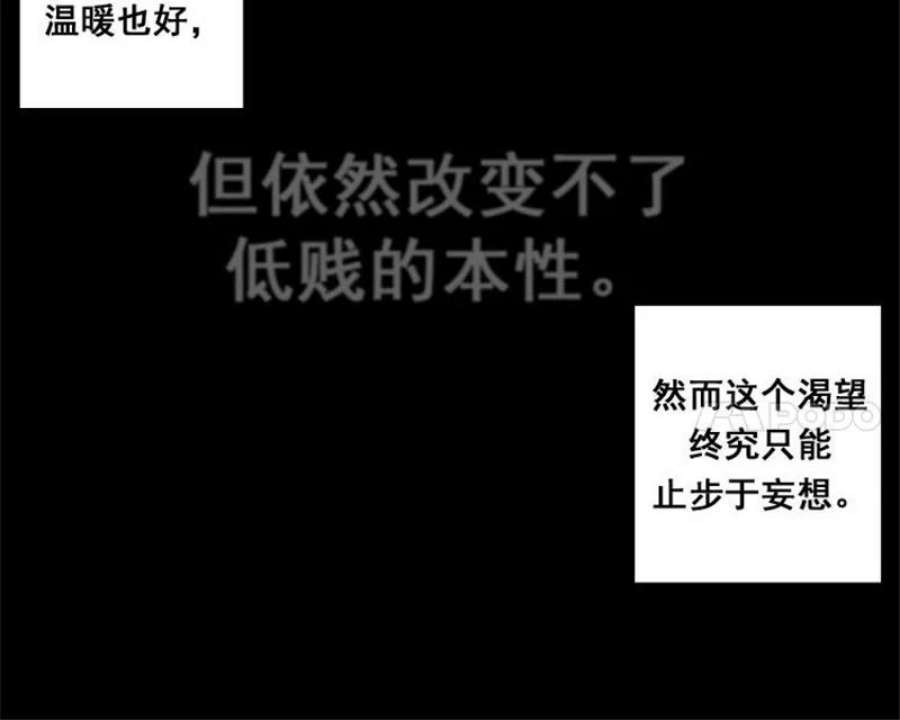 阿多尼斯1.重来一次