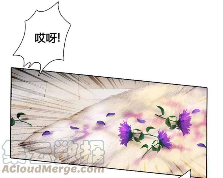 阿多尼斯1.重来一次