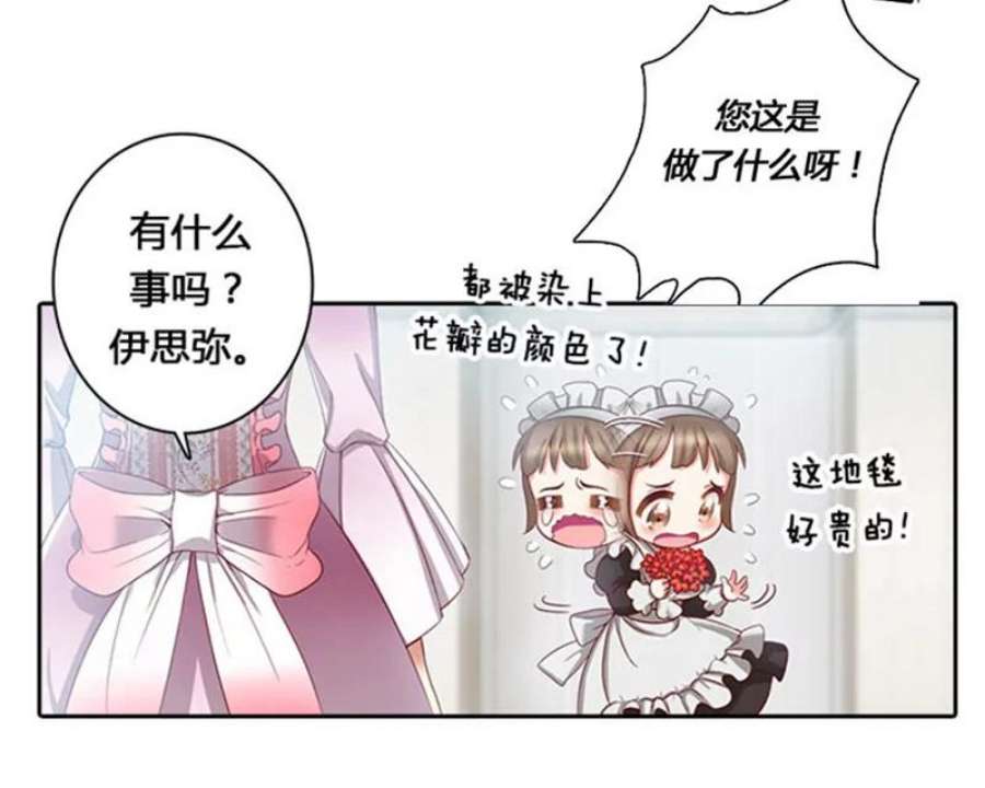 阿多尼斯1.重来一次