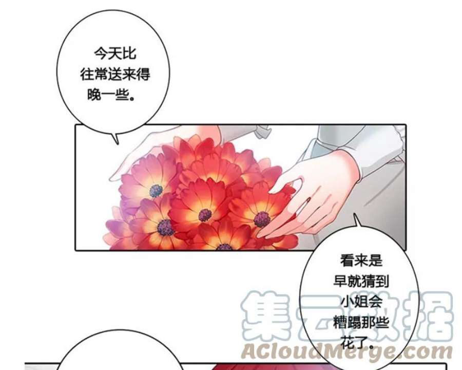 阿多尼斯1.重来一次