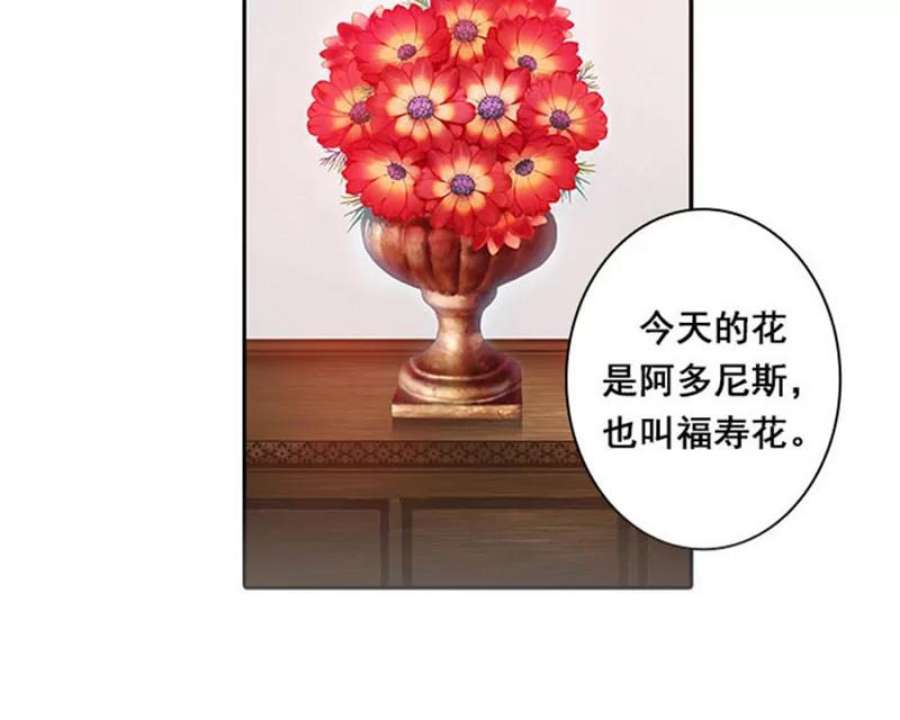 阿多尼斯1.重来一次