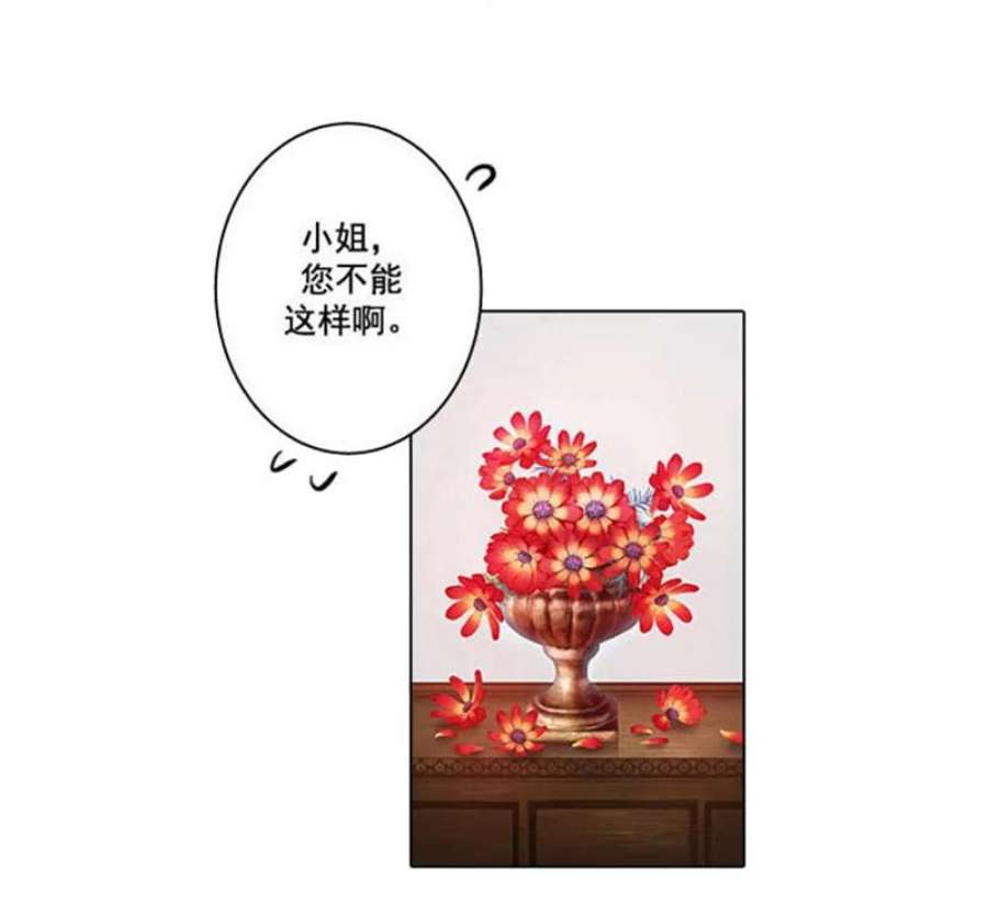 阿多尼斯2.初遇那天