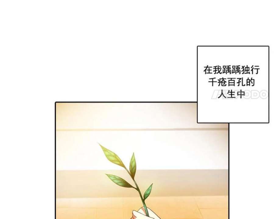 阿多尼斯2.初遇那天