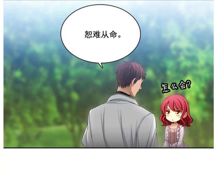 阿多尼斯4.护卫