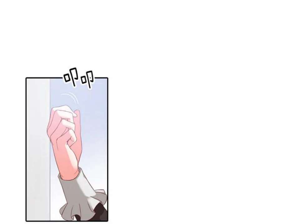 阿多尼斯4.护卫