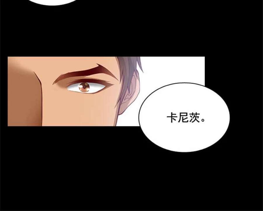 阿多尼斯4.护卫