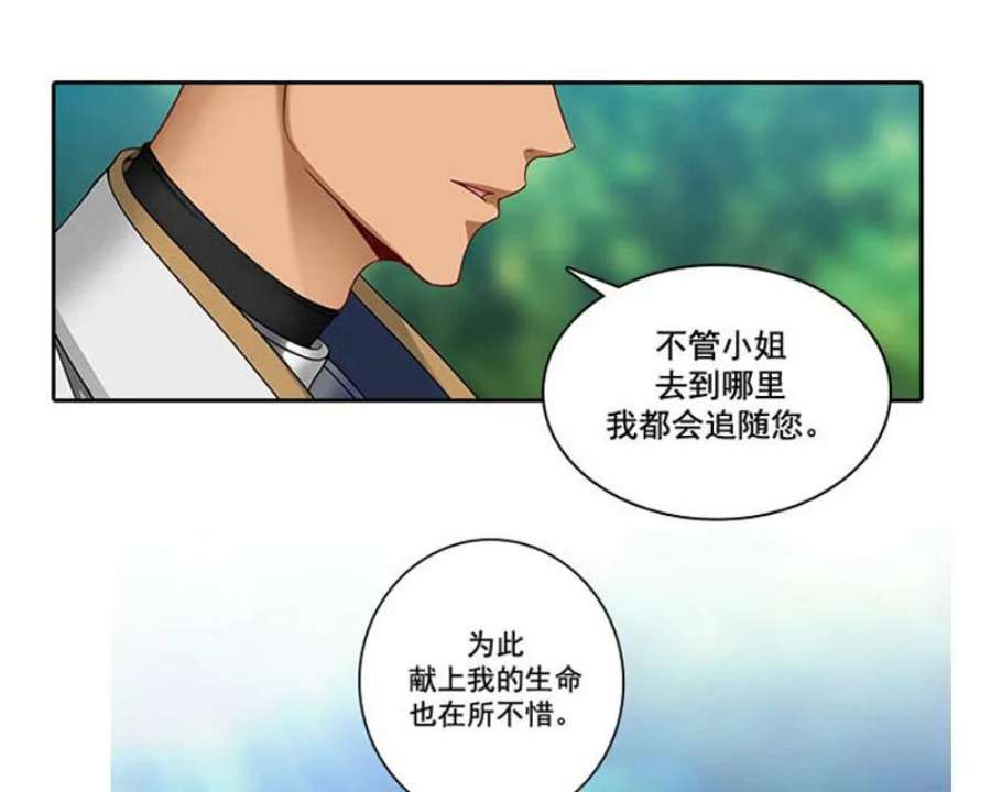 阿多尼斯4.护卫