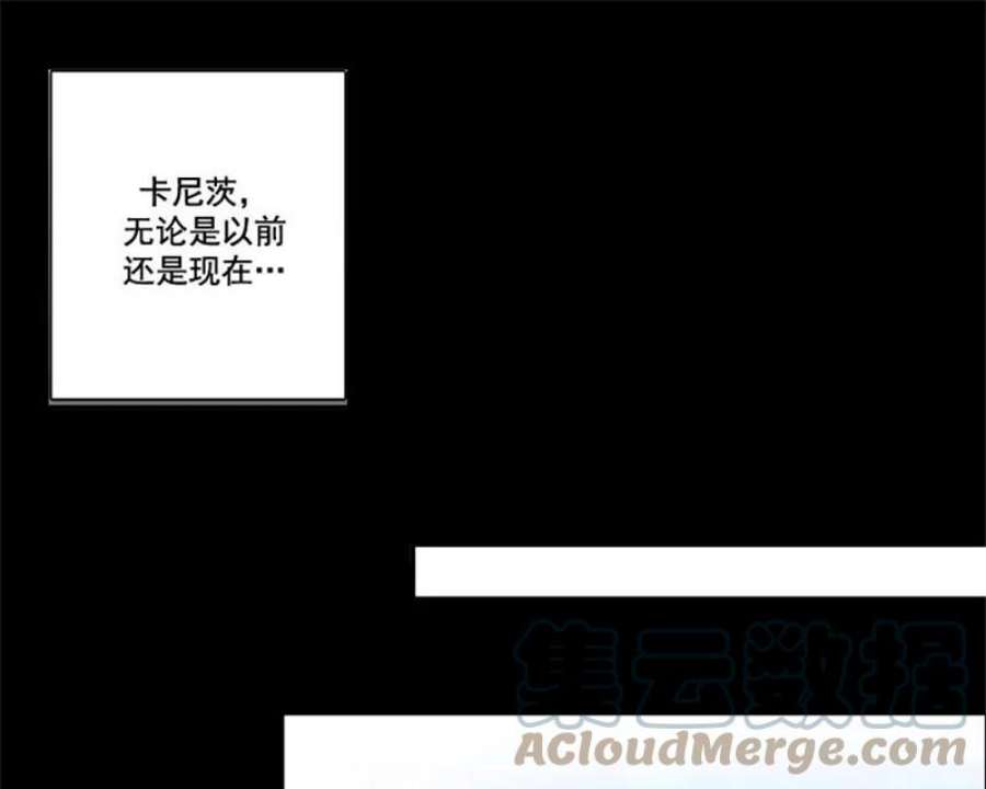 阿多尼斯4.护卫