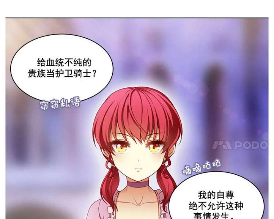 阿多尼斯4.护卫