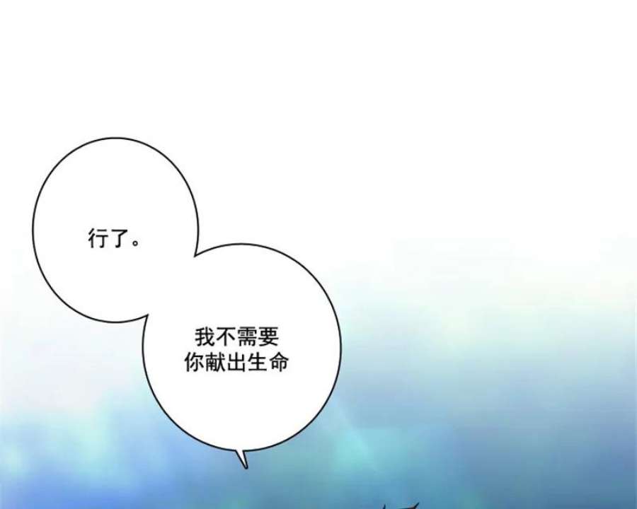 阿多尼斯4.护卫