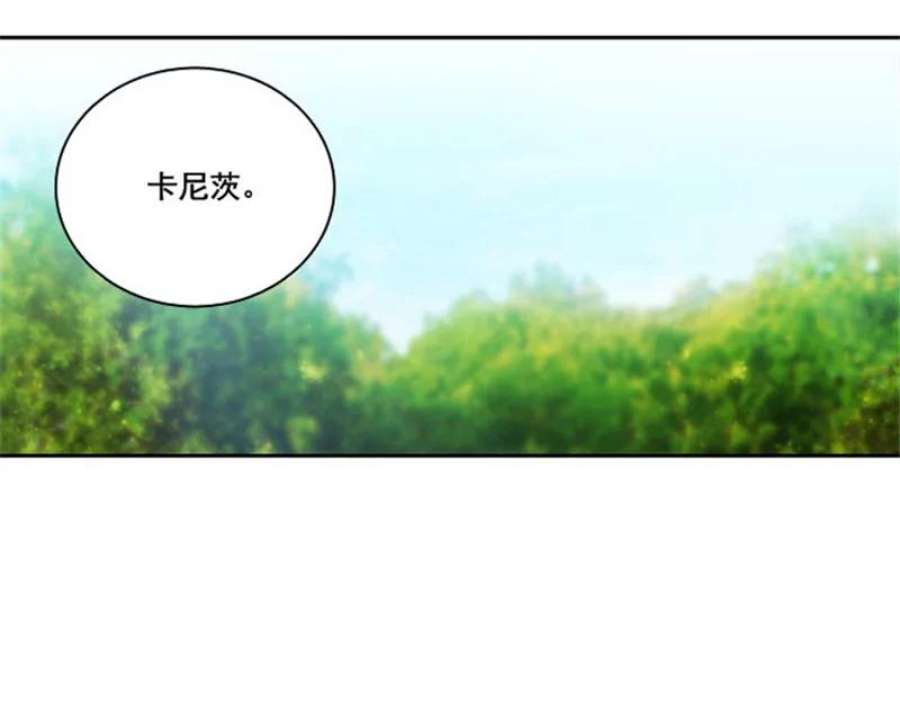 阿多尼斯4.护卫