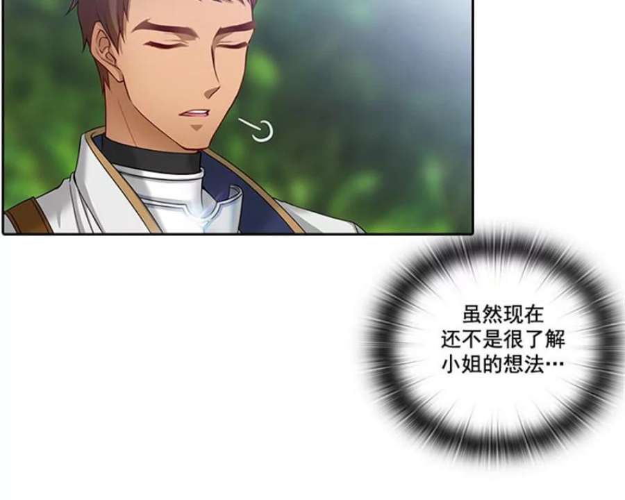 阿多尼斯4.护卫