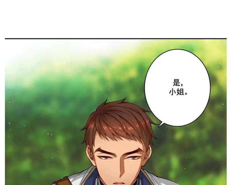 阿多尼斯4.护卫