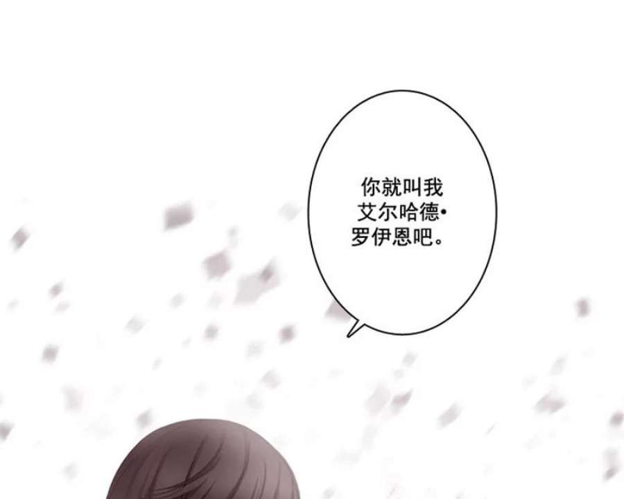 阿多尼斯5.老师