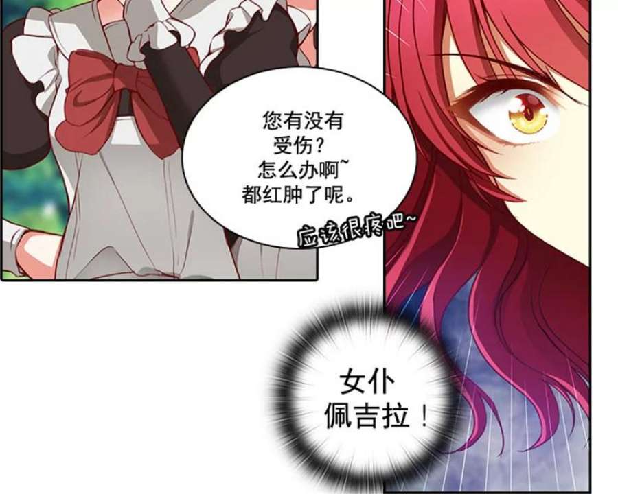 阿多尼斯5.老师