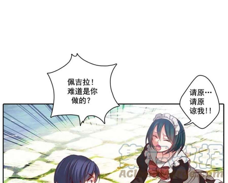 阿多尼斯6.主人