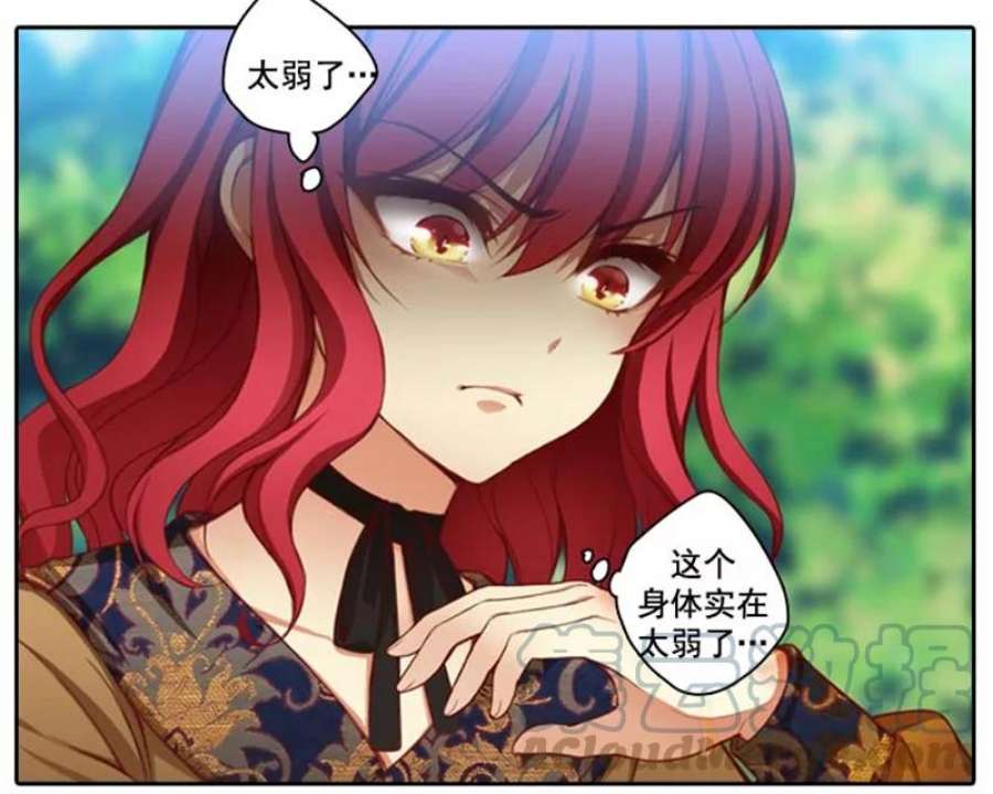 阿多尼斯6.主人