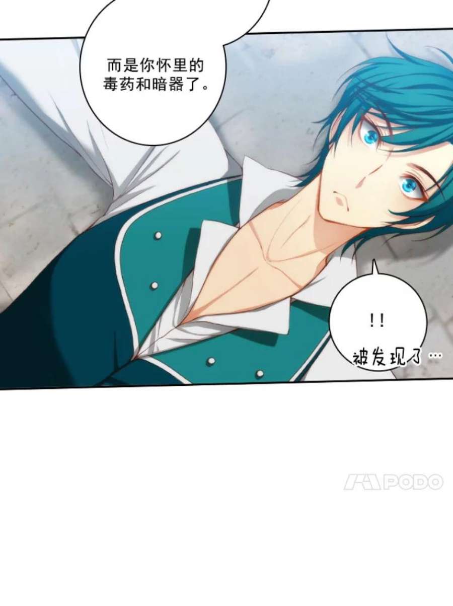 阿多尼斯17.对战