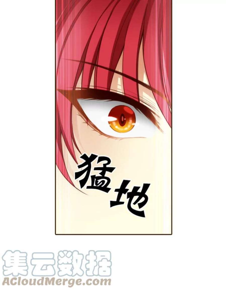 阿多尼斯18.考试