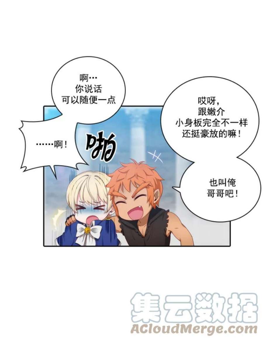 阿多尼斯22.塔罗