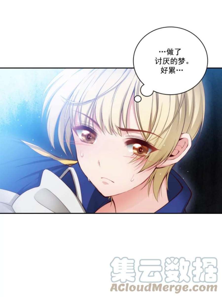 阿多尼斯24.团体战