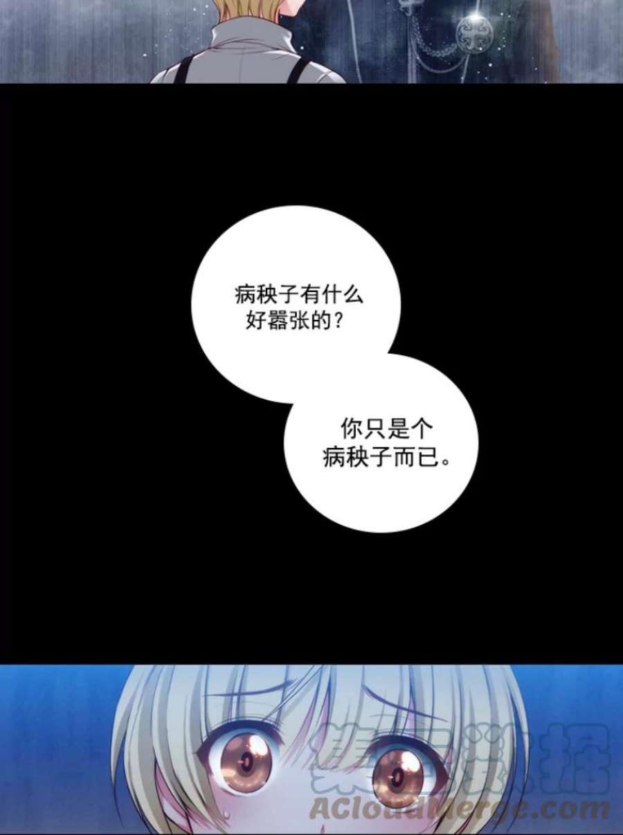 阿多尼斯24.团体战