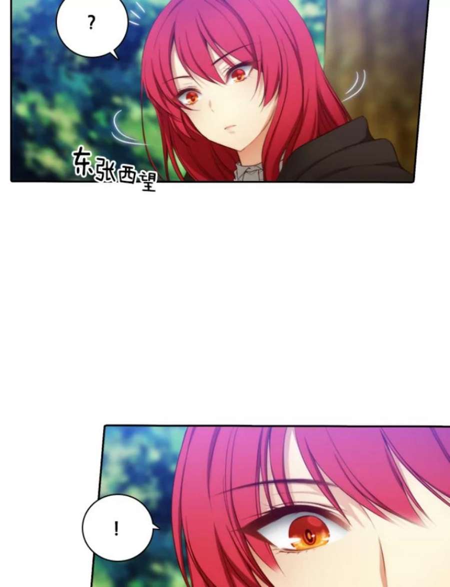 阿多尼斯29.水精灵